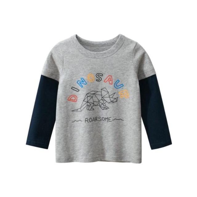 Toddler Boys T Shirt/ Contrast Sleeve